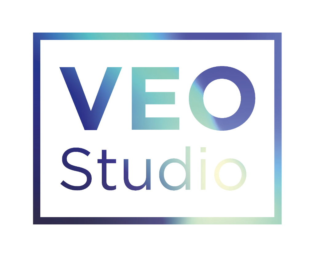 VEO ERP Logo